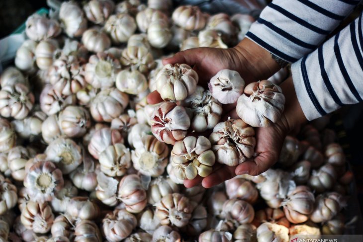 Kemendag janjikan kestabilan harga bawang putih di berbagai daerah