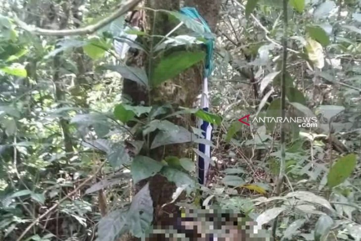 Penemuan mayat Ketua KPPS, Polisi: Diperkirakan gantung diri