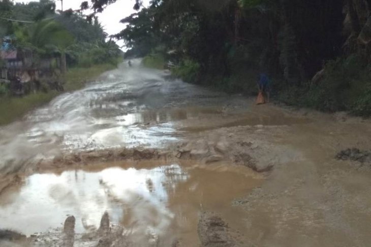 Penajam bebaskan lahan untuk pelebaran jalan negara 2020