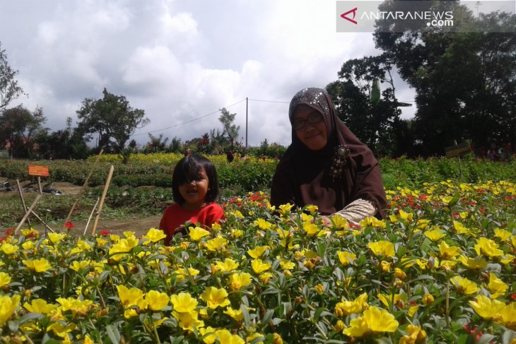 Ini agenda pariwisata Rejang Lebong tahun ini