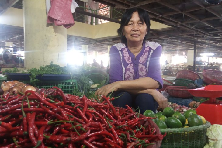 Harga bawang putih di Medan turun tajam
