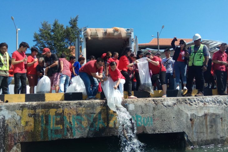 Pelepasan ikan tandai