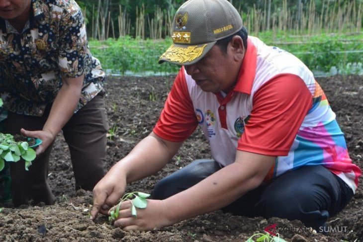 Wali Kota padangsidimpuan segera keluarkan perwal perkuat sektor pertanian