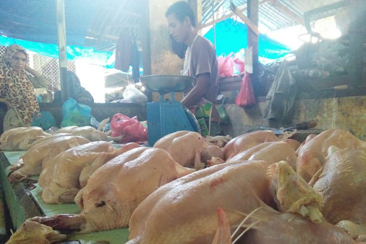 Jelang Idul Fitri harga ayam potong naik di Lhokseumawe