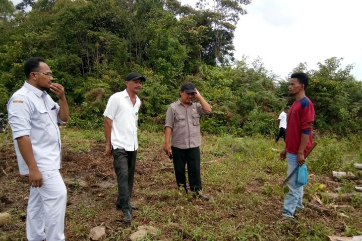 Kawanan gajah merusak belasan hektare kebun sawit di Aceh Utara