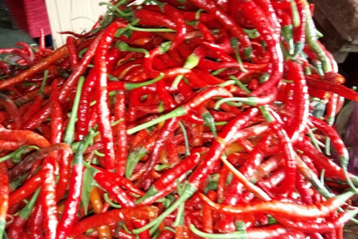 Harga cabai merah naik lagi, pengusaha rumah makan