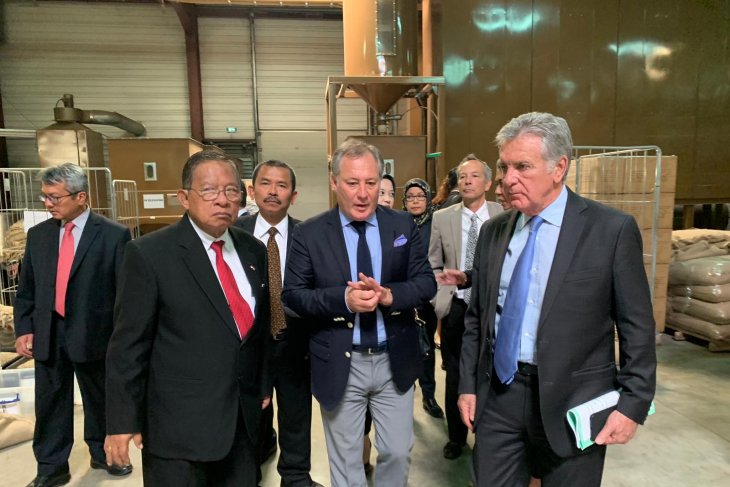 Indonesia aspires to increase coffee exports to Marseille