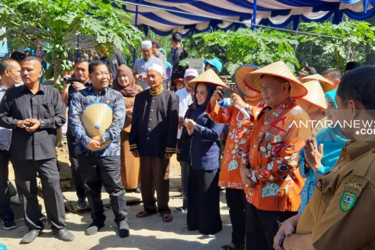 Sayur Maincat nominasi