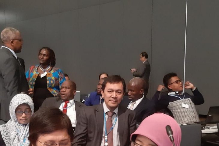 Indonesia usung blue carbon di UNFCCC