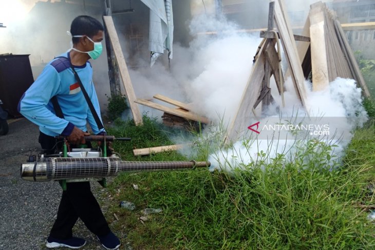 Puluhan anak terjangkit DBD di Aceh Barat