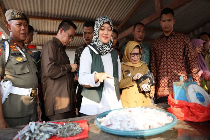 Wagub Lampung Kembangkan Potensi Teluk Lampung