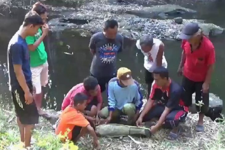 Warga Ngawi Jatim temukan fosil tulang paha gajah purba