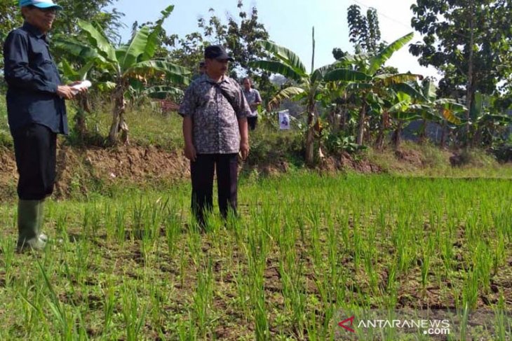 Water crisis cripples life in Central Java's Banyumas
