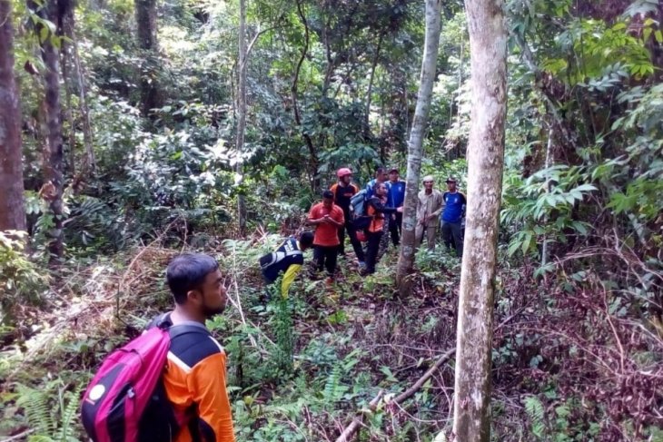 Diserang babi hutan, seorang warga tewas