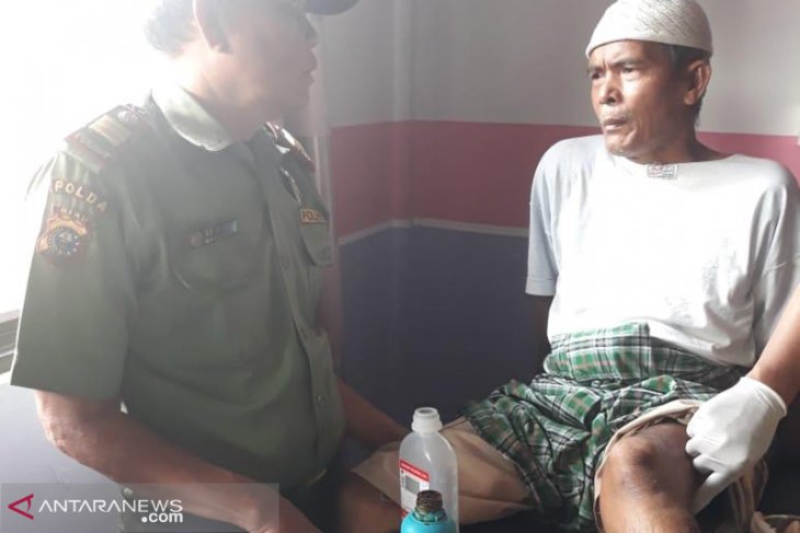 Buaya kembali menyerang warga di Riau