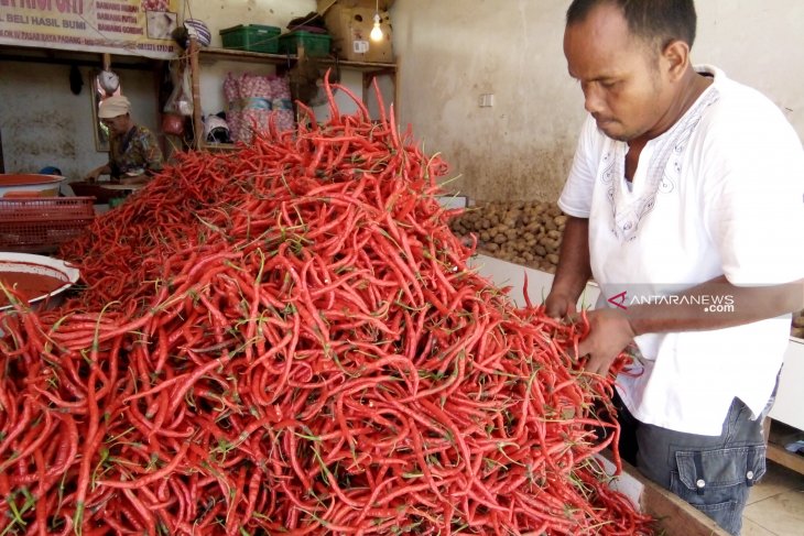 Pemkab Lebak siap gelar pasar murah cabai