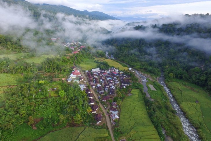 Hutan Adat Rantau Kermas Merangin Raih Penghargaan Kalpataru