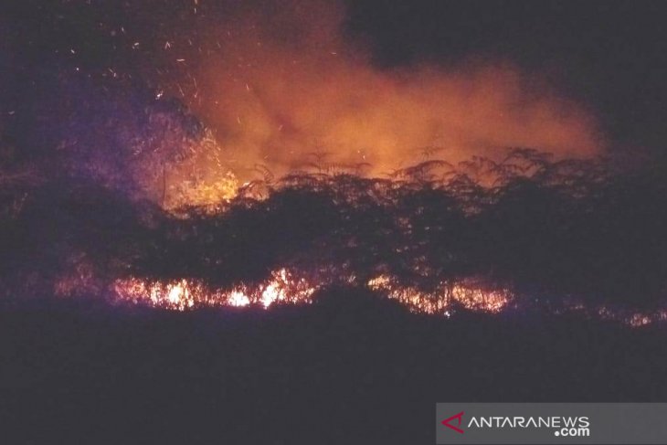 Empat hektare lahan di Penajam hangus terbakar