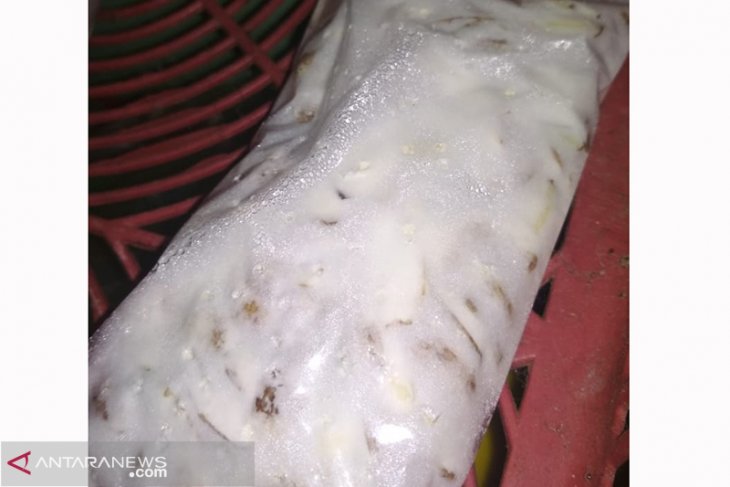 Universitas Bengkulu latih warga membuat tempe dari biji karet