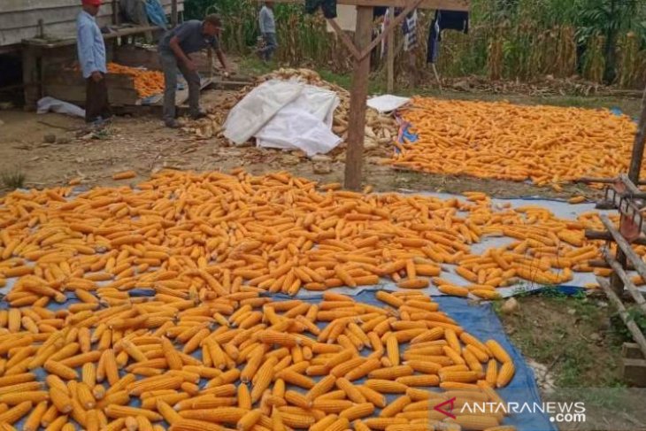 Kanada apresiasi keberhasilan program RIF di Kubu Raya