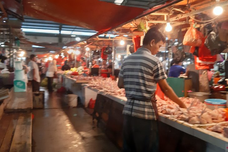 Harga Ayam Potong Di Pontianak Naik Lagi Antara News