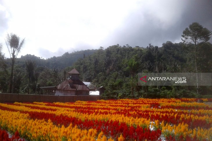 Pelaku usaha pariwisata Rejang Lebong diminta urus perizinan