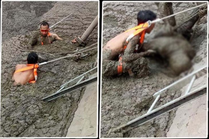 Seorang karyawan tewas di kolam limbah sawit