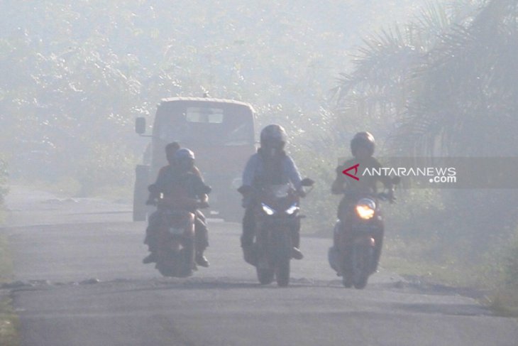 BPBA: 255 hektar hutan dan lahan di Aceh terbakar