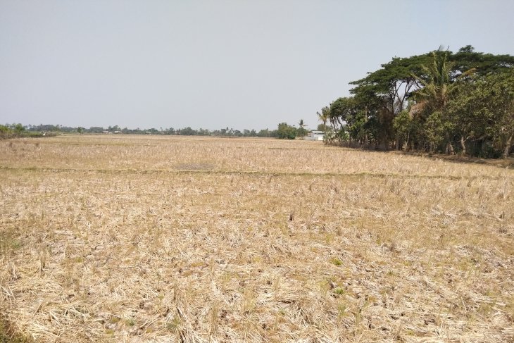 Ribuan liter air bersih disalurkan ke daerah kekeringan di Karawang