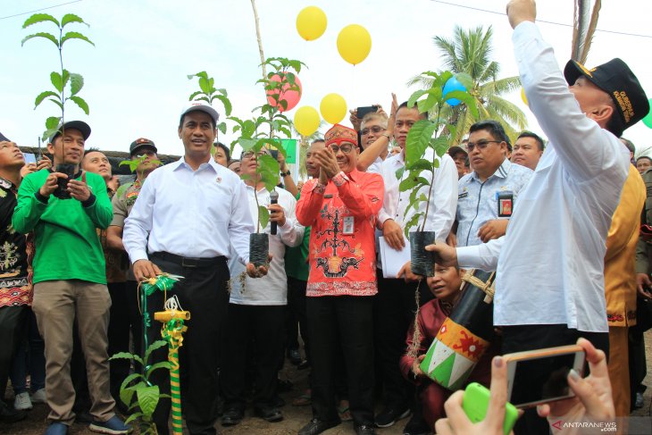 Agriculture Minister launches BUN 500 program in Central Kalimantan