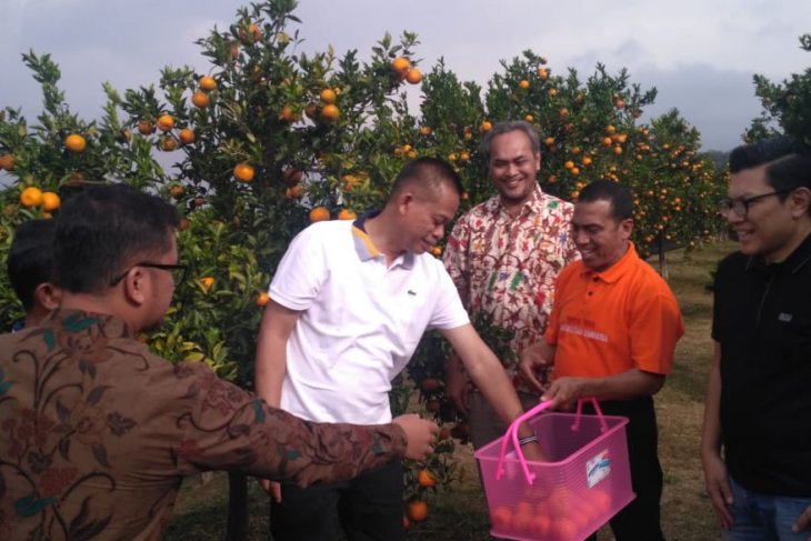 Teknologi