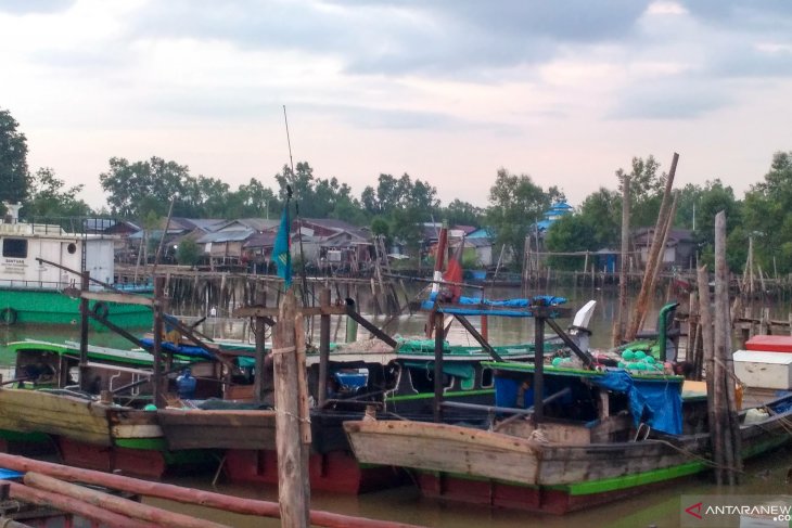 Masih banyak nelayan trawl Jambi gunakan pukat harimau