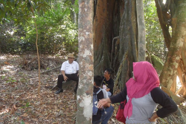 Geopark Bukit Penyabung Bangka Barat, dari kampung menuju wisata internasional