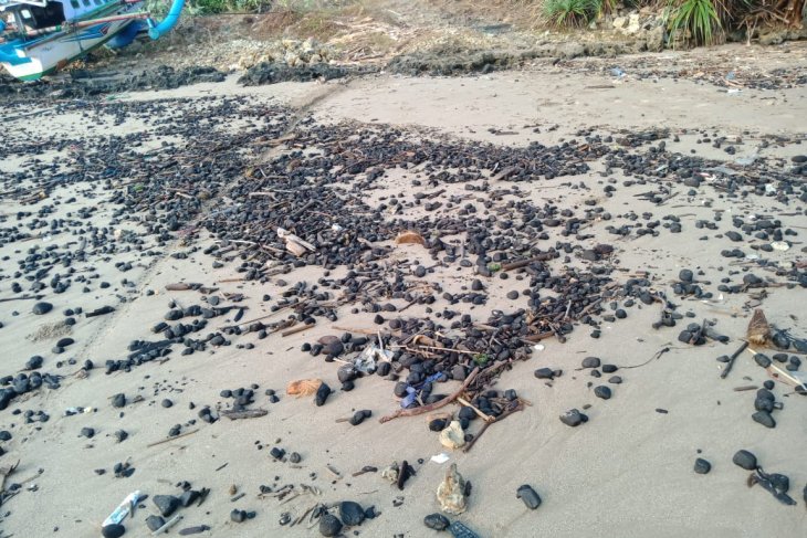 HMB Jakarta kecam pencemaran laut Pandeglang akibat 7 ribu ton batubara tumpah