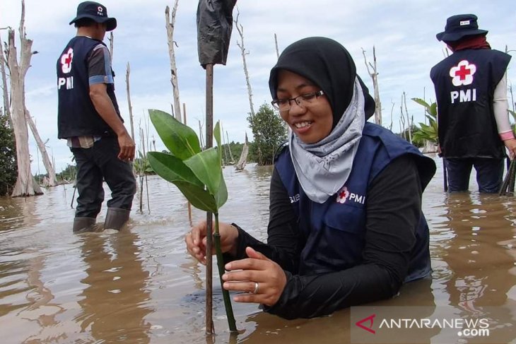 PMI komitmen jaga kelestarian hutan mangrove di Indonesia