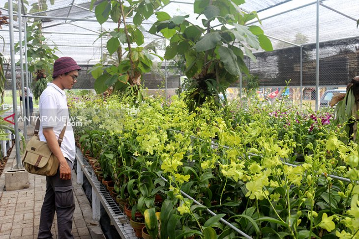 Pembangunan Wisata Kebun Anggrek di Surabaya masuki tahap akhir
