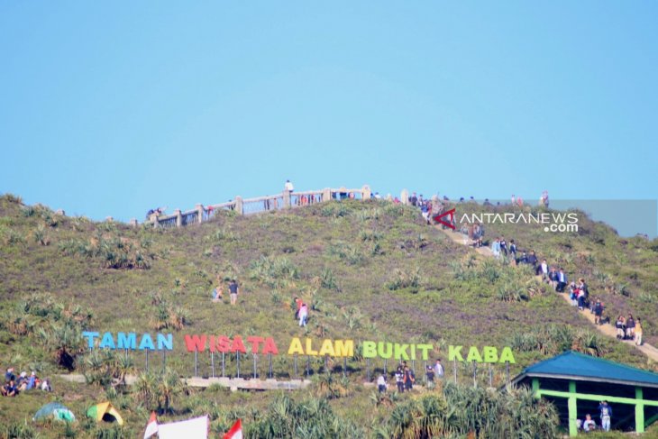 BKSDA Bengkulu gandeng petani hijaukan TWA Bukit Kaba