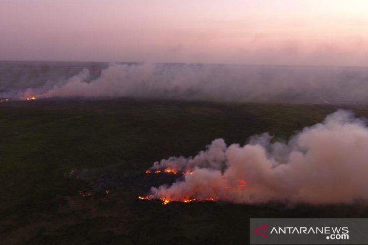 Tiga titik spot api bakar lahan di Tapin
