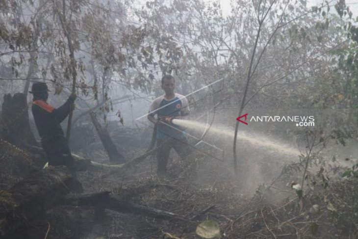 Kebakaran lahan di Aceh Barat meluas capai 33 hektare