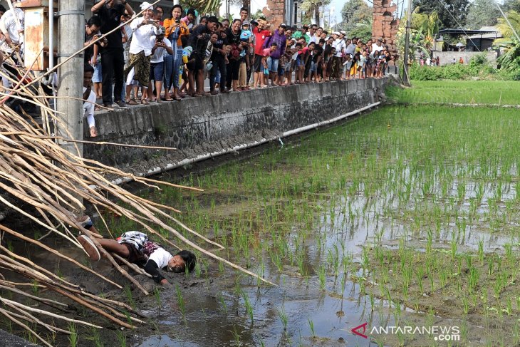 Hari Raya Kuningan, warga Munggu-Badung ikuti tradisi