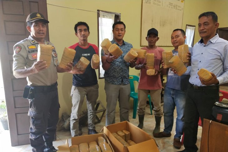 Polisi Langkat temukan ganja tak bertuan 49 kilogram