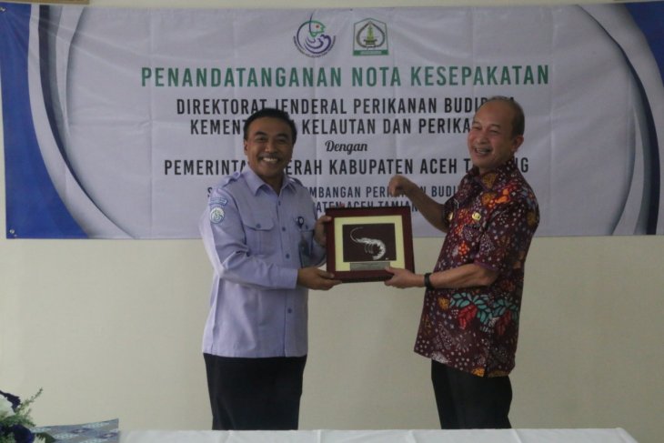 KKP-Pemkab Aceh Tamiang sinergi budi daya udang berkelanjutan