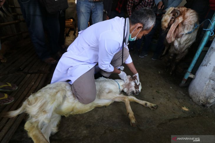 Pakar kesehatan: konsumsi daging berlebih bisa sebabkan sembelit