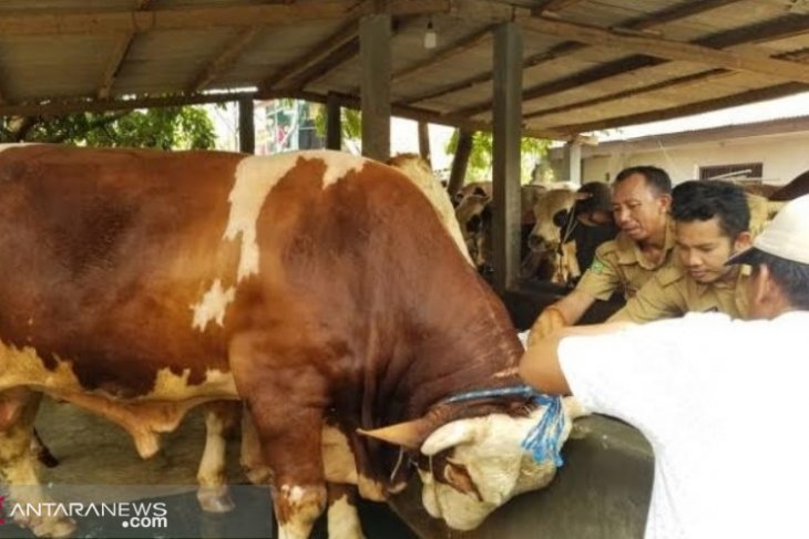 Warga Tangerang diminta perhatikan sertifikat kesehatan, jika beli hewan kurban