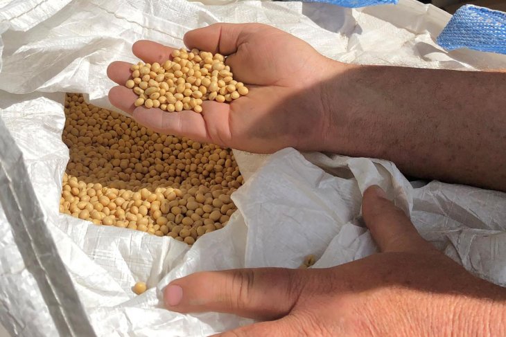 Petani AS terpukul setelah China hentikan pembelian produk pertanian