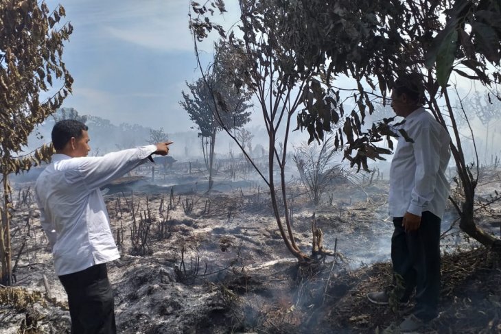 BMKG: Angin kencang pemicu meluasnya kebakaran di Aceh