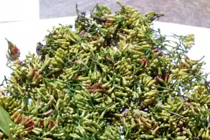 Harga cengkih di Manado turun jadi Rp71.000/kg