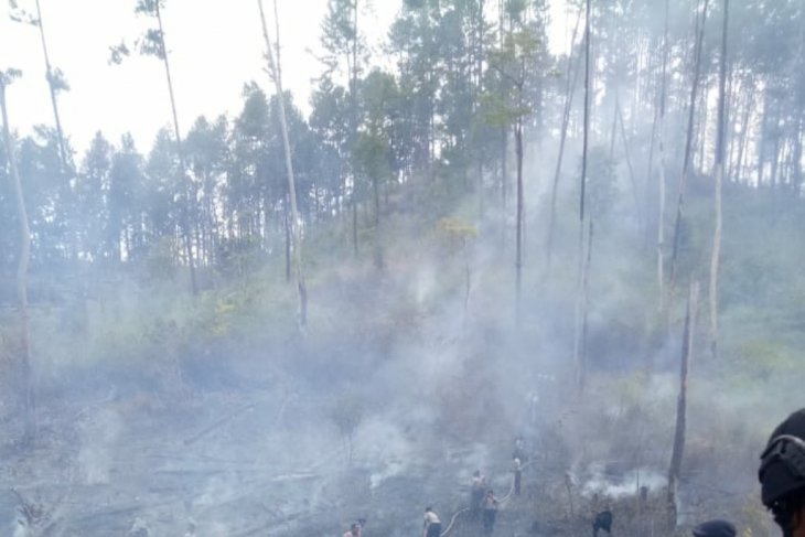 BMKG: 16 titik panas muncul di Aceh