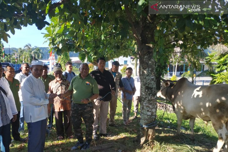 Gubernur Dominggus Mandacan serahkan 63 hewan kurban