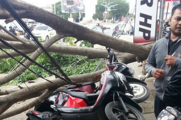 Waspadai gelombang capai empat meter jelang Idul Adha